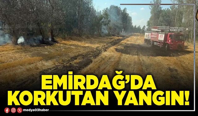 Emirdağ’da korkutan yangın!