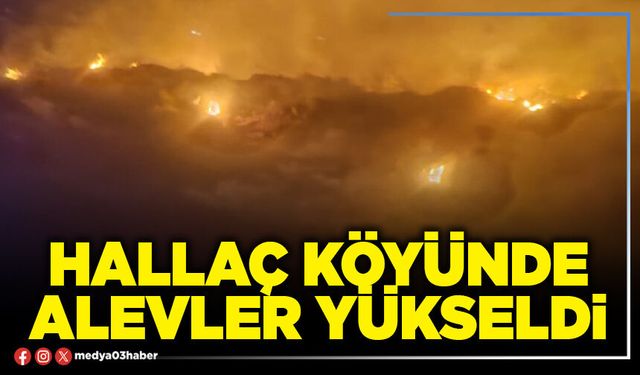 Hallaç Köyünde alevler yükseldi