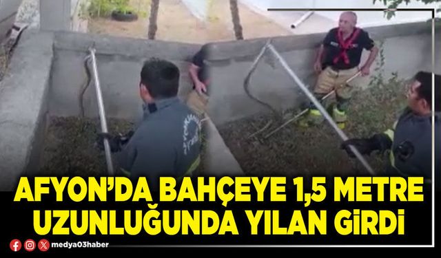 Afyon’da bahçeye 1,5 metre uzunluğunda yılan girdi