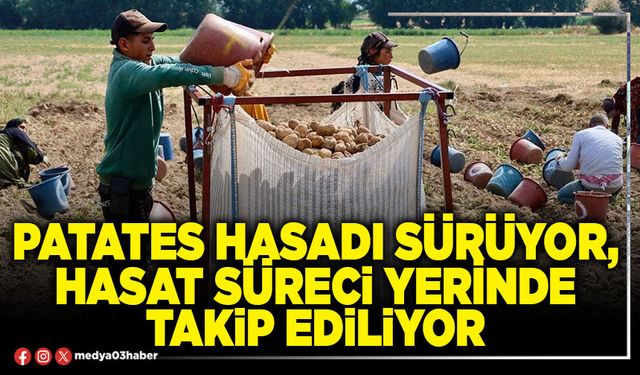 Patates hasadı sürüyor, hasat süreci yerinde takip ediliyor
