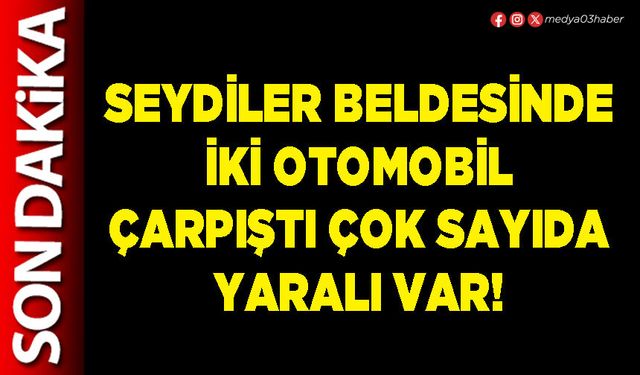 Seydiler Beldesinde iki otomobil çarpıştı çok sayıda yaralı var!