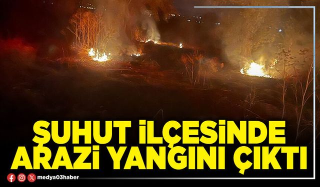 Şuhut İlçesinde arazi yangını çıktı