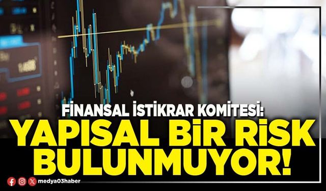 Finansal istikrar komitesi: Yapısal bir risk bulunmuyor!