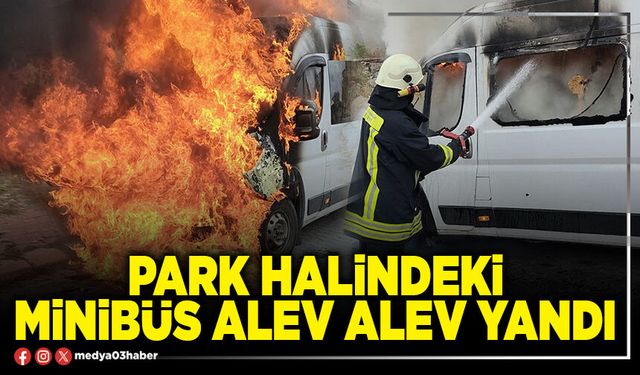 Park halindeki minibüs alev alev yandı