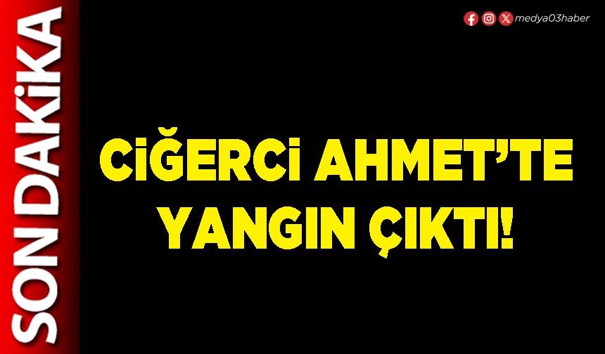 Ciğerci Ahmet’te yangın çıktı!