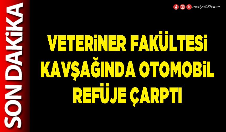 Veteriner Fakültesi kavşağında otomobil refüje çarptı