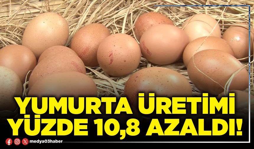 Yumurta üretimi yüzde 10,8 azaldı!