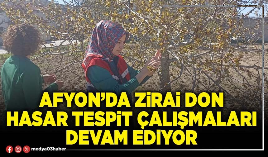 Afyon’da zirai don hasar tespit çalışmaları devam ediyor