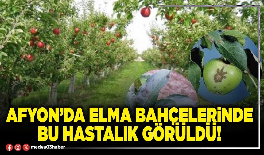 Afyon’da elma bahçelerinde bu hastalık görüldü!