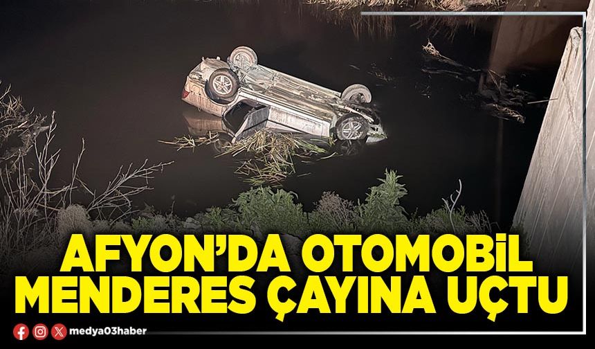 Afyon’da otomobil Menderes çayına uçtu