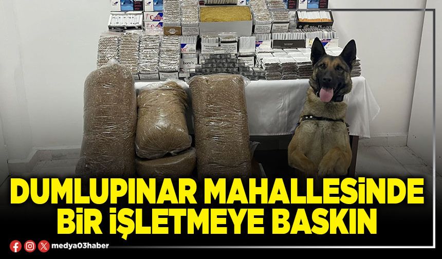 Dumlupınar Mahallesinde bir işletmeye baskın