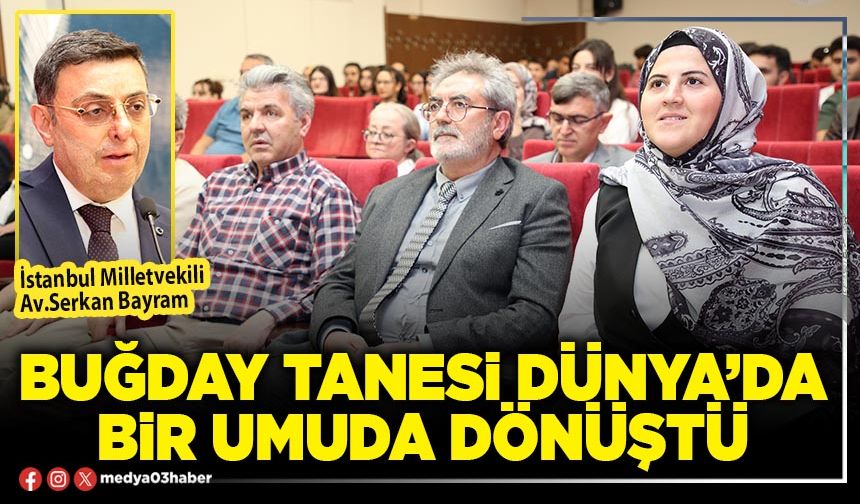 Buğday tanesi Dünya’da bir umuda dönüştü
