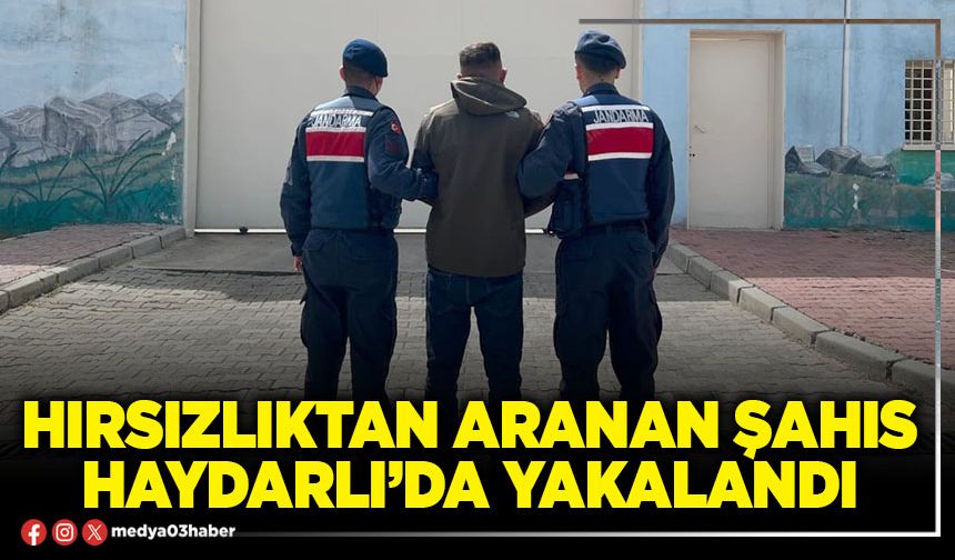 Hırsızlıktan aranan şahıs Haydarlı’da yakalandı