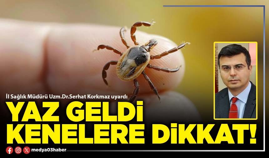 Yaz geldi kenelere dikkat!