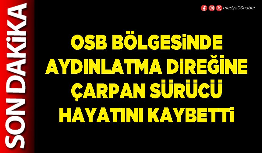 OSB bölgesinde aydınlatma direğine çarpan sürücü hayatını kaybetti