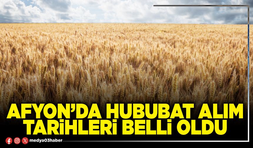 Afyon’da hububat alım tarihleri belli oldu