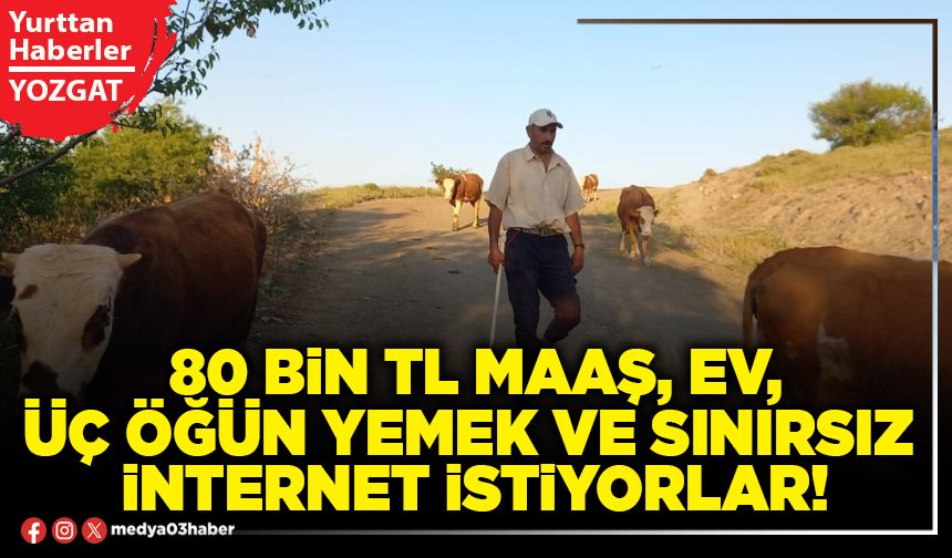 80 Bin TL maaş, ev, üç öğün yemek ve sınırsız  internet istiyorlar!