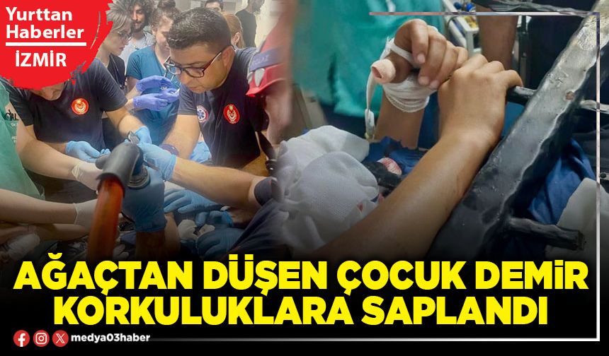 Ağaçtan düşen çocuk demir korkuluklara saplandı