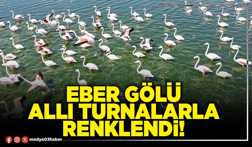 Eber gölü allı turnalarla renklendi!