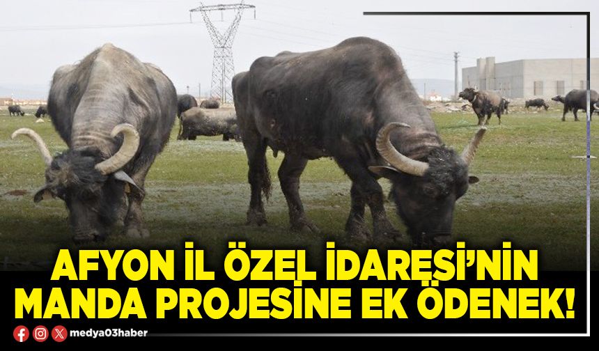 Afyon İl Özel İdaresi’nin manda projesine ek ödenek!