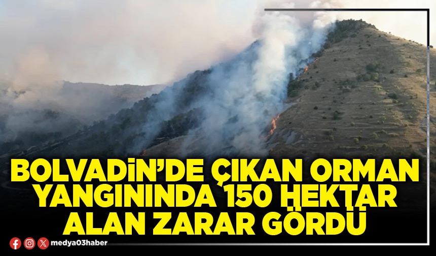 Bolvadin’de çıkan orman yangınında 150 hektar alan zarar gördü