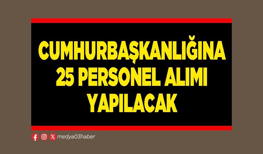 Cumhurbaşkanlığına 25 personel alımı yapılacak