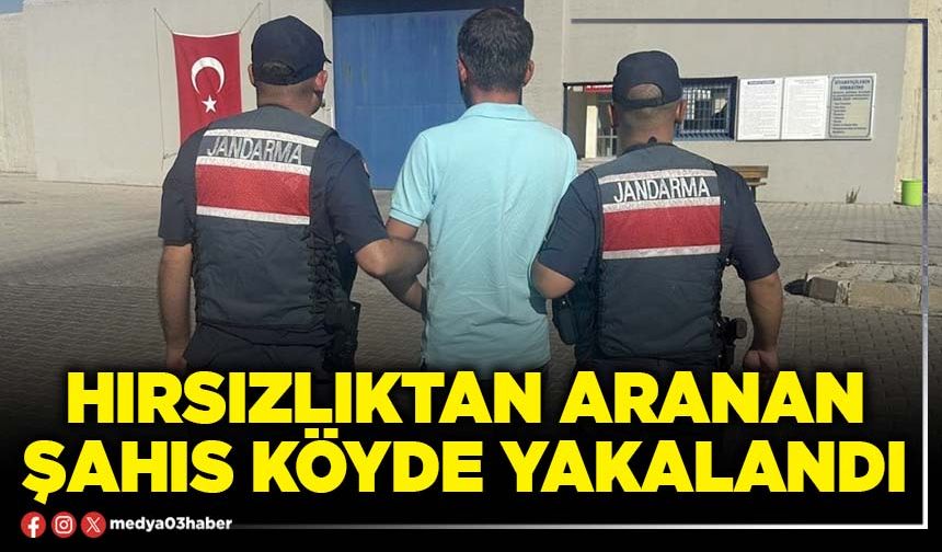 Hırsızlıktan aranan şahıs köyde yakalandı