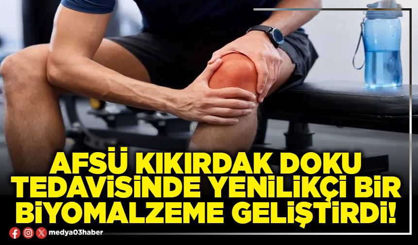 AFSÜ kıkırdak doku tedavisinde yenilikçi bir biyomalzeme geliştirdi!