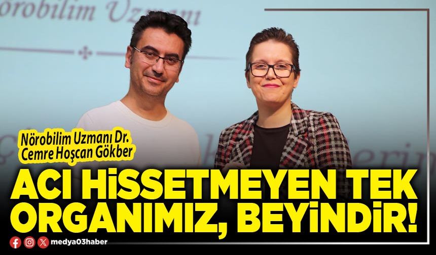 Acı hissetmeyen tek organımız, beyindir!