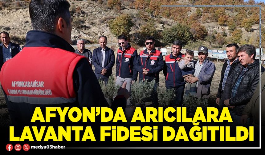 Afyon’da arıcılara lavanta fidesi dağıtıldı