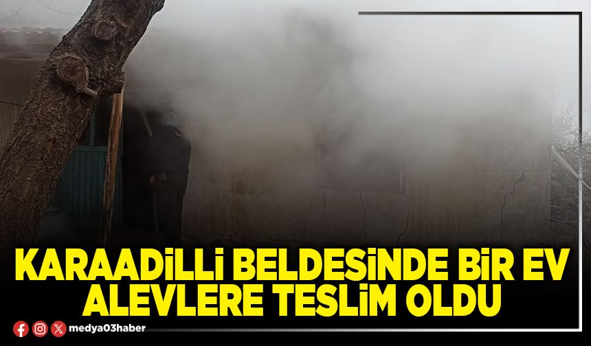Karaadilli Beldesinde bir ev alevlere teslim oldu