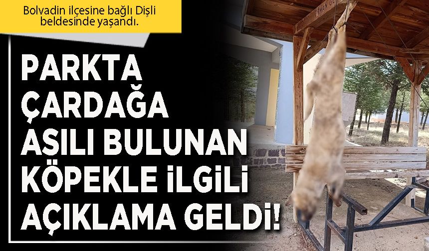 Parkta çardağa asılı bulunan köpekle ilgili açıklama geldi!