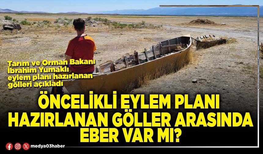 Öncelikli eylem planı hazırlanan göller arasında Eber var mı?
