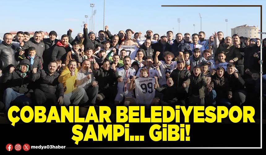 Çobanlar Belediyespor şampi… gibi!
