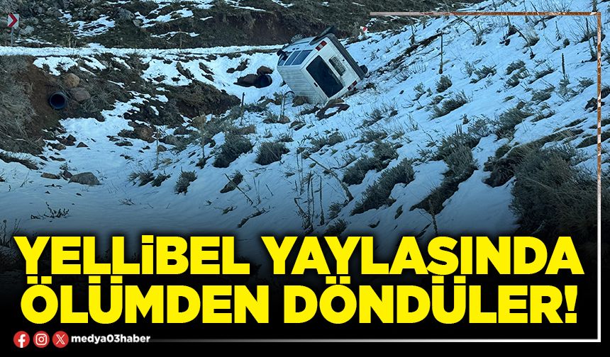 Yellibel yaylasında ölümden döndüler!