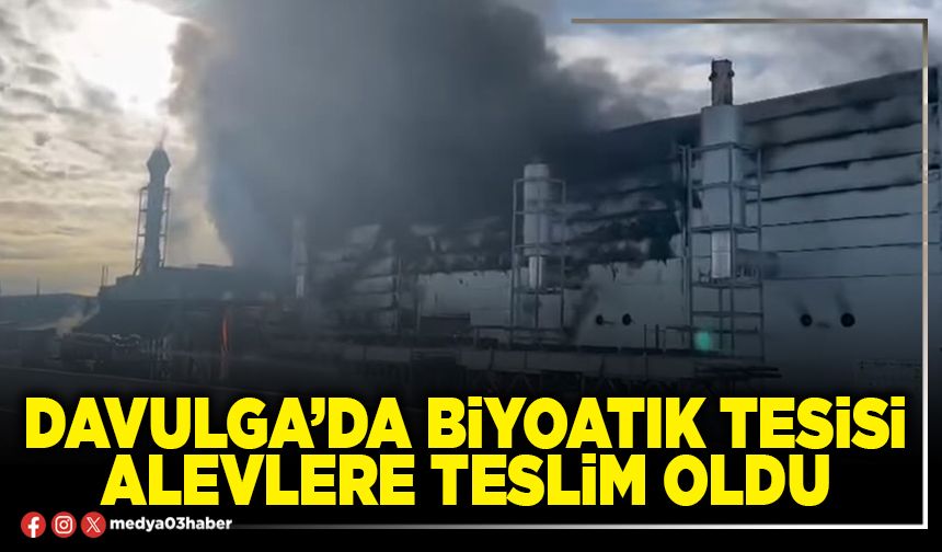 Davulga’da Biyoatık Tesisi alevlere teslim oldu