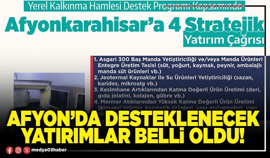 Afyon’da desteklenecek yatırımlar belli oldu!