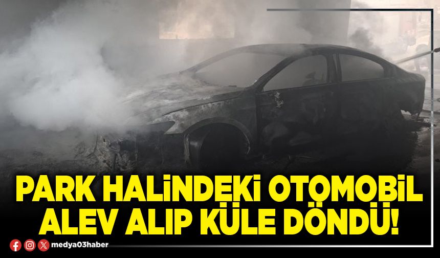 Park halindeki otomobil alev alıp küle döndü!