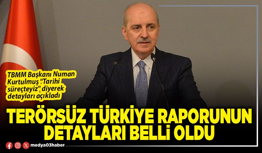 Terörsüz Türkiye raporunun detayları belli oldu