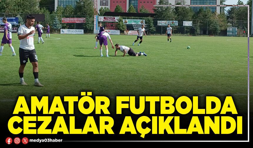 Amatör futbolda cezalar açıklandı