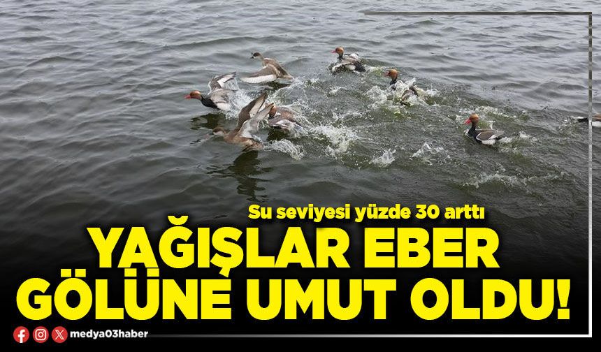 Yağışlar Eber Gölüne umut oldu!