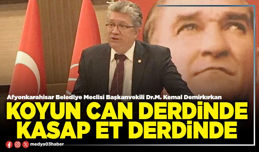 Koyun can derdinde, kasap et derdinde