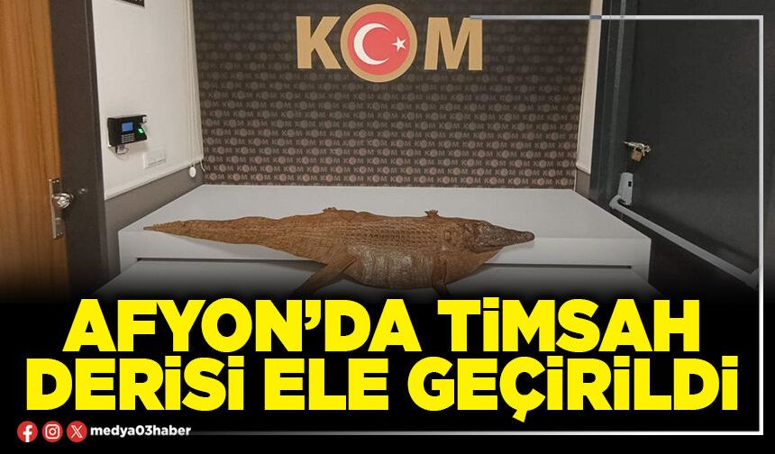Afyon’da timsah derisi ele geçirildi