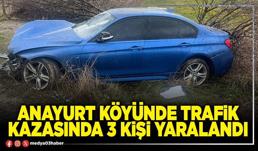 Anayurt Köyünde trafik kazasında 3 kişi yaralandı