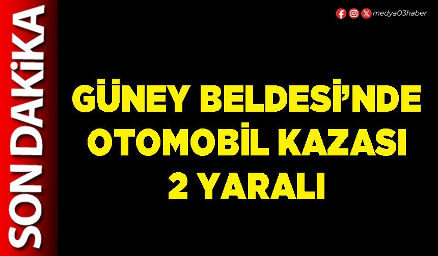 Güney Beldesi’nde otomobil kazası 2 yaralı