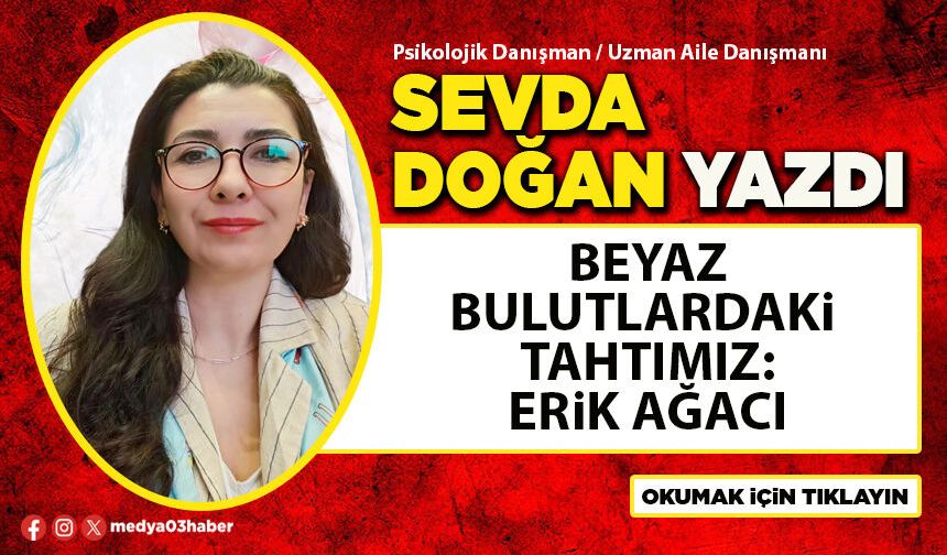 Beyaz Bulutlardaki Tahtımız: Erik Ağacı