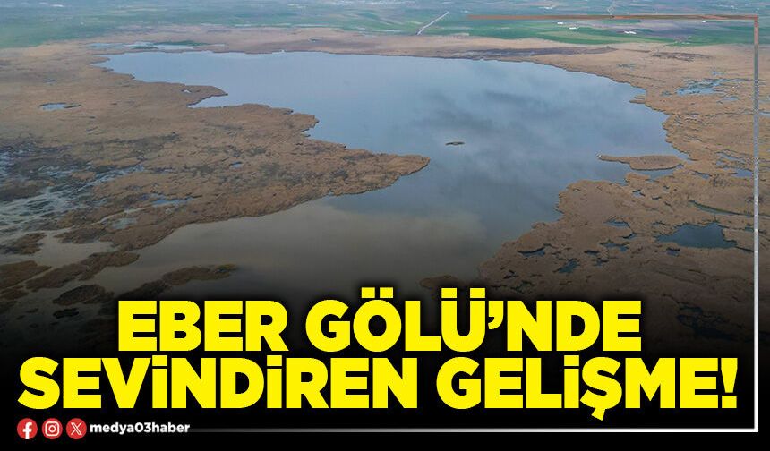 Eber Gölü’nde sevindiren gelişme!