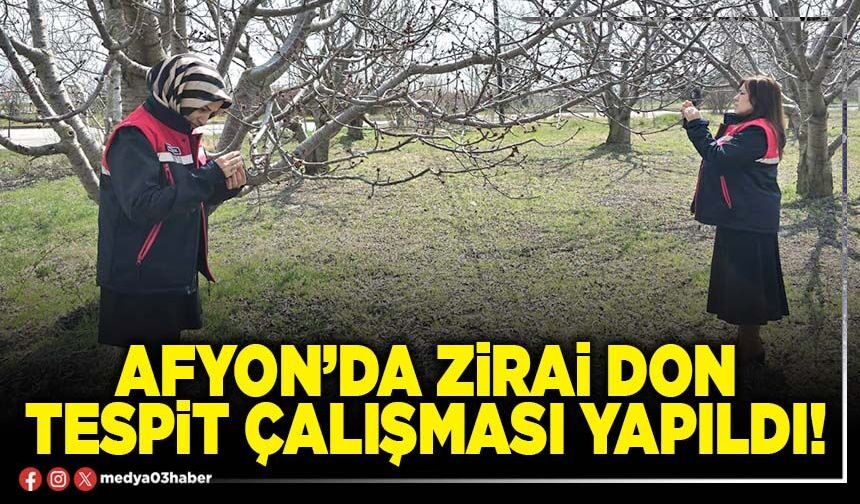 Afyon’da zirai don tespit çalışması yapıldı!