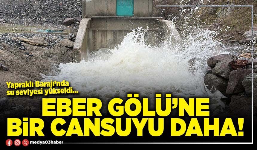 Eber Gölü’ne bir cansuyu daha!