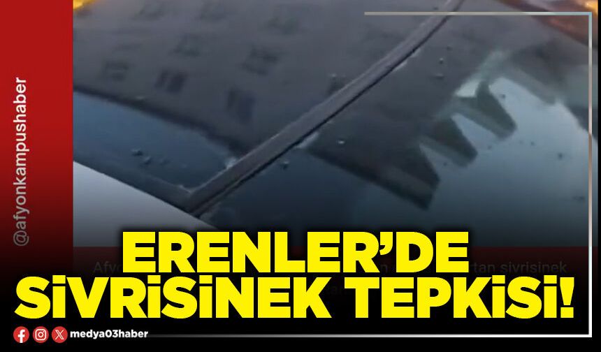 Erenler’de sivrisinek tepkisi!